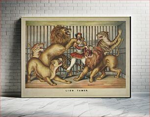 Πίνακας, Lion tamer