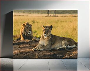 Πίνακας, Lions Resting on the Grasslands Λιοντάρια που αναπαύονται στα λιβάδια