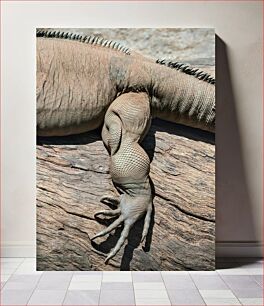 Πίνακας, Lizard Claw on Wood Lizard Claw on Wood