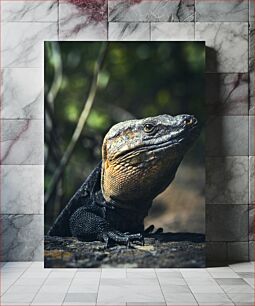 Πίνακας, Lizard Close-up in Nature Σαύρα Γκρο πλαν στη φύση