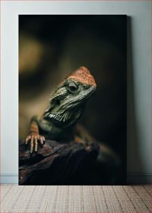Πίνακας, Lizard in Focus Σαύρα στην εστίαση