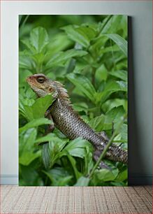 Πίνακας, Lizard in Green Foliage Σαύρα στο πράσινο φύλλωμα