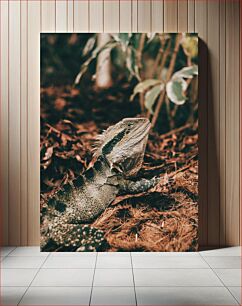 Πίνακας, Lizard in Natural Habitat Σαύρα σε φυσικό βιότοπο