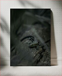 Πίνακας, Lizard on a Log Σαύρα σε κούτσουρο