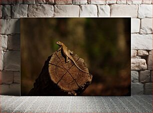 Πίνακας, Lizard on a Log Σαύρα σε κούτσουρο