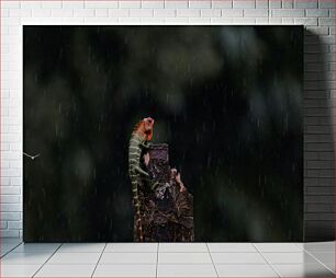 Πίνακας, Lizard on a Rainy Day Σαύρα σε μια βροχερή μέρα