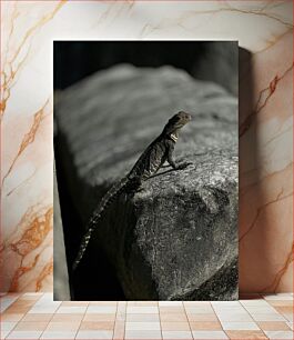 Πίνακας, Lizard on a Rock Σαύρα σε βράχο