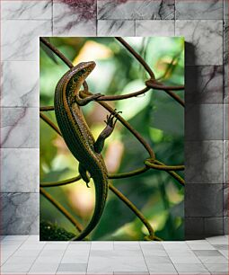 Πίνακας, Lizard on Branch in Forest Σαύρα σε κλαδί στο δάσος