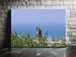Πίνακας, Lizard Overlooking the Sea Σαύρα με θέα στη θάλασσα