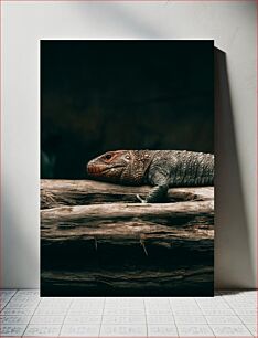 Πίνακας, Lizard Resting on a Log Σαύρα που στηρίζεται σε ένα κούτσουρο