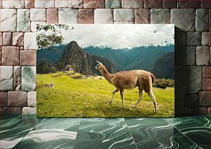 Πίνακας, Llama at Machu Picchu Λάμα στο Μάτσου Πίτσου