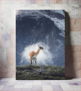 Πίνακας, Llama in Majestic Mountain Landscape Λάμα στο μαγευτικό ορεινό τοπίο