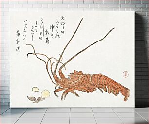 Πίνακας, Lobster and Shells (1800-1805) by Kubota Shunman