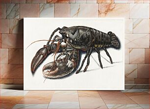 Πίνακας, Lobster by anonymous (1560–1585)