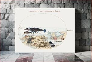 Πίνακας, Lobster, Crabs, Scallop Shells and Other Sea Life (1575–1580) by Joris Hoefnagel