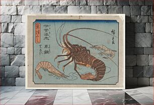Πίνακας, Lobster, Prawn, and Shrimps