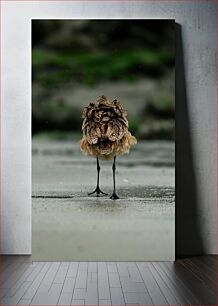 Πίνακας, Lone Bird on a Beach Μοναχικό πουλί σε μια παραλία