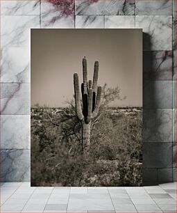 Πίνακας, Lone Cactus in the Desert Μοναχικός Κάκτος στην Έρημο