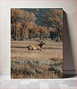 Πίνακας, Lone Deer in Autumn Field Μοναχικό Ελάφι στο Φθινοπωρινό Πεδίο
