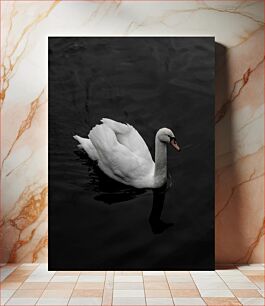Πίνακας, Lone Swan in Dark Waters Lone Swan in Dark Waters