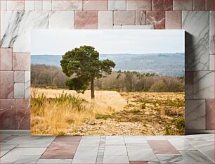 Πίνακας, Lone Tree in a Field Μοναχικό δέντρο σε ένα χωράφι