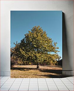 Πίνακας, Lone Tree in a Field Μοναχικό δέντρο σε ένα χωράφι