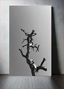 Πίνακας, Lone Tree in Black and White Μοναχικό δέντρο σε μαύρο και άσπρο