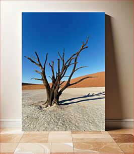 Πίνακας, Lone Tree in the Desert Μοναχικό Δέντρο στην Έρημο