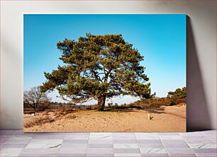 Πίνακας, Lone Tree on a Sandy Landscape Μοναχικό δέντρο σε ένα αμμώδες τοπίο