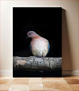 Πίνακας, Lonely Bird on a Log Lonely Bird on a κούτσουρο