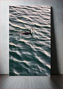 Πίνακας, Lonely Cormorant on Rippling Water Lonely Cormoran on Rippling Water