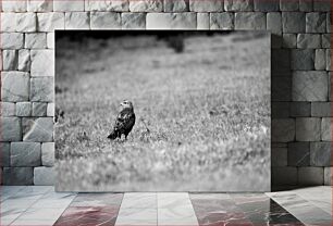 Πίνακας, Lonely Hawk in a Field Μοναχικό γεράκι σε ένα χωράφι