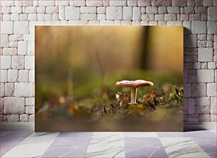 Πίνακας, Lonely Mushroom in Autumn Forest Μοναχικό μανιτάρι στο φθινοπωρινό δάσος