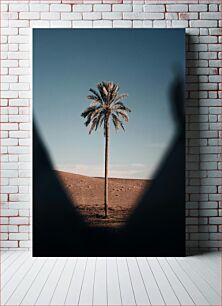 Πίνακας, Lonely Palm Tree in the Desert Μοναχικός Φοίνικας στην Έρημο