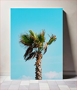 Πίνακας, Lonely Palm Tree Under Clear Sky Μοναχικός Φοίνικας κάτω από τον καθαρό ουρανό
