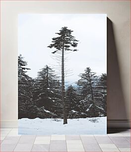 Πίνακας, Lonely Pine in Winter Forest Μοναχικό πεύκο στο χειμερινό δάσος