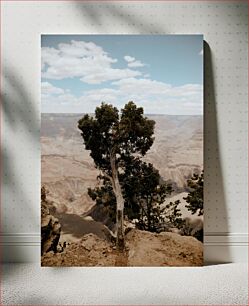 Πίνακας, Lonely Tree in a Rocky Landscape Μοναχικό Δέντρο σε Βραχώδες Τοπίο