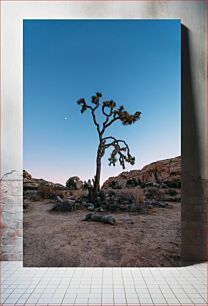 Πίνακας, Lonely Tree in Desert Landscape Μοναχικό δέντρο σε ερημικό τοπίο