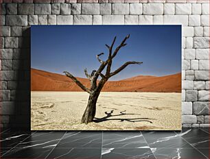 Πίνακας, Lonely Tree in Desert Μοναχικό Δέντρο στην Έρημο