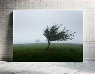 Πίνακας, Lonely Tree in Fog Μοναχικό Δέντρο στην Ομίχλη