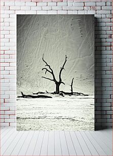 Πίνακας, Lonely Tree in the Desert Μοναχικό Δέντρο στην Έρημο