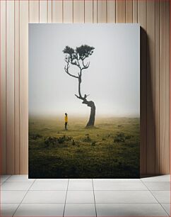 Πίνακας, Lonely Tree in the Mist Μοναχικό Δέντρο στην Ομίχλη