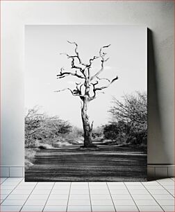 Πίνακας, Lonely Tree on a Deserted Road Μοναχικό δέντρο σε έναν έρημο δρόμο