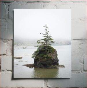 Πίνακας, Lonely Tree on Rocky Island Lonely Tree στο Rocky Island