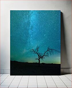 Πίνακας, Lonely Tree Under the Starry Sky Lonely Tree Under the Starry Sky
