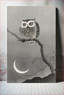 Πίνακας, Long-eared owl on bare tree branch (1900 - 1930) by Ohara Koson (1877-1945)