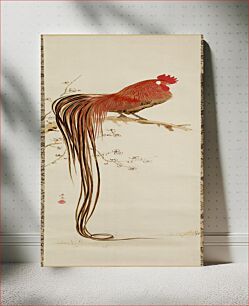Πίνακας, Long-tailed Rooster (19th century) by Shibata Zeshin