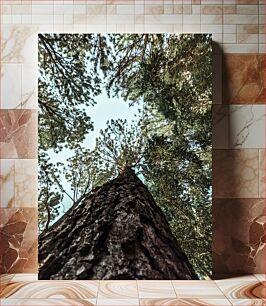 Πίνακας, Looking Up Through Trees Ψάχνοντας μέσα από τα δέντρα