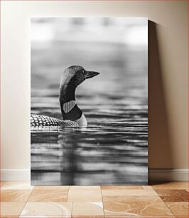 Πίνακας, Loon in Black and White Loon σε ασπρόμαυρο