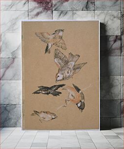 Πίνακας, Love leading the Pilgrim - Study of Birds: Finches (1897) by Sir Edward Burne–Jones